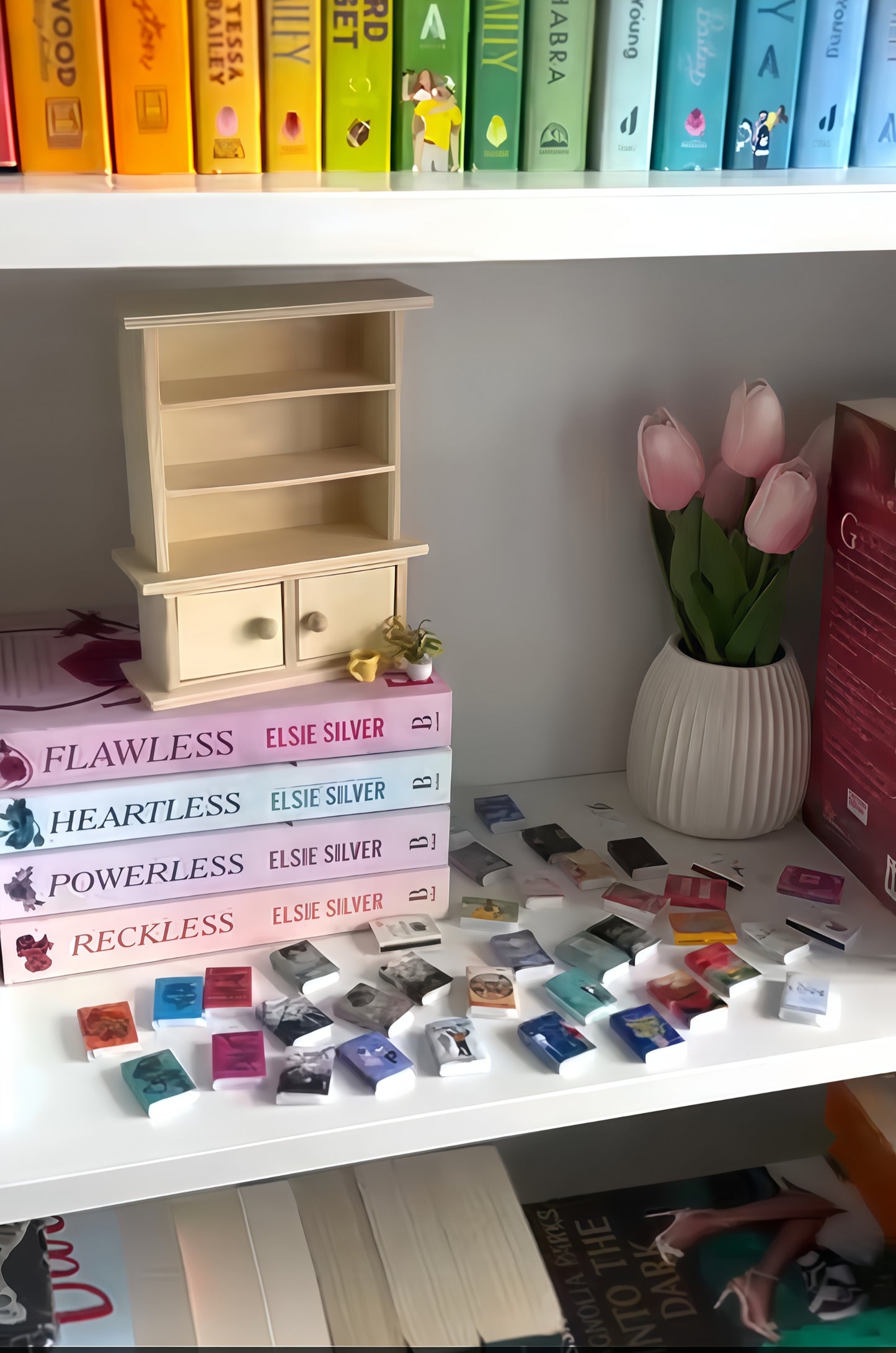 Miniature Bookshelf for Novel/Book lovers
